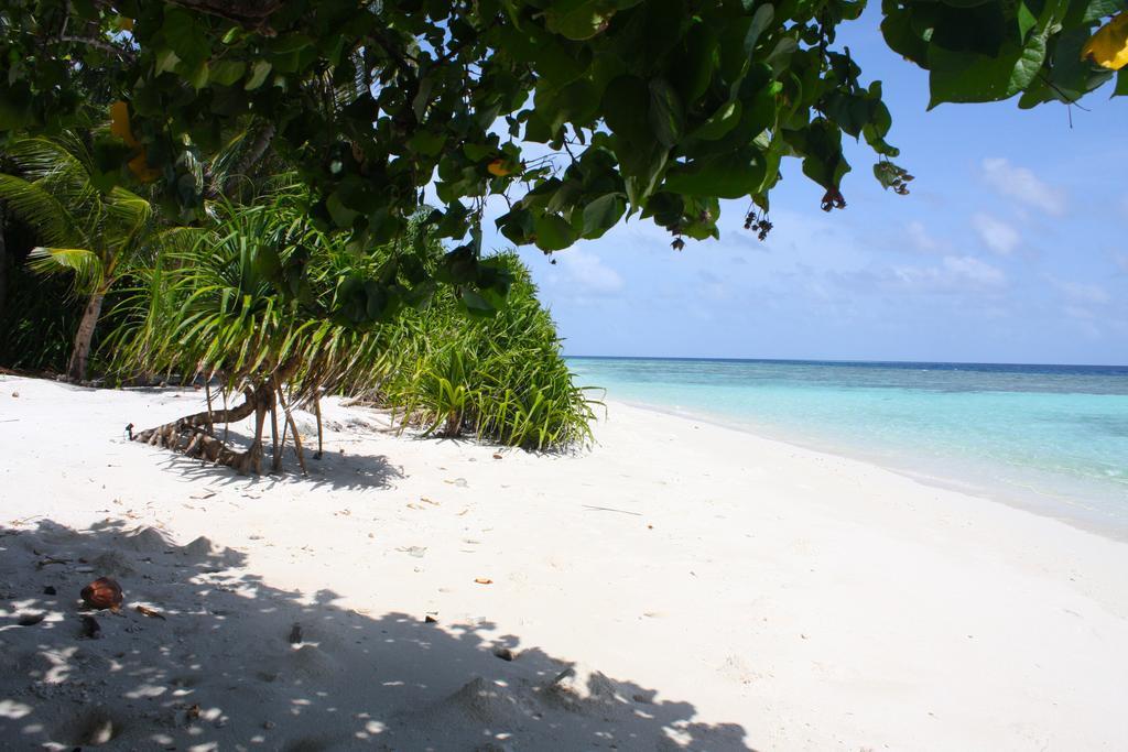 Plumeria Maldives Thinadhoo  Kültér fotó